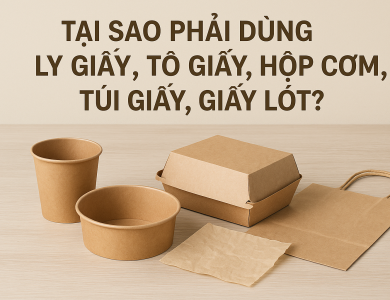 Tại Sao Phải Dùng Ly Giấy, Tô Giấy, Hộp Cơm, Túi Giấy, Giấy Lót?